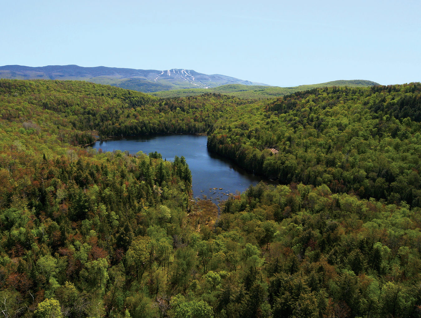 NUVO Magazine: Lac en Ciel