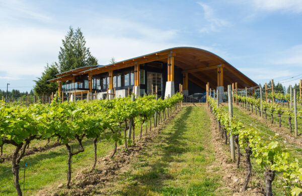 Vancouver Island Wine