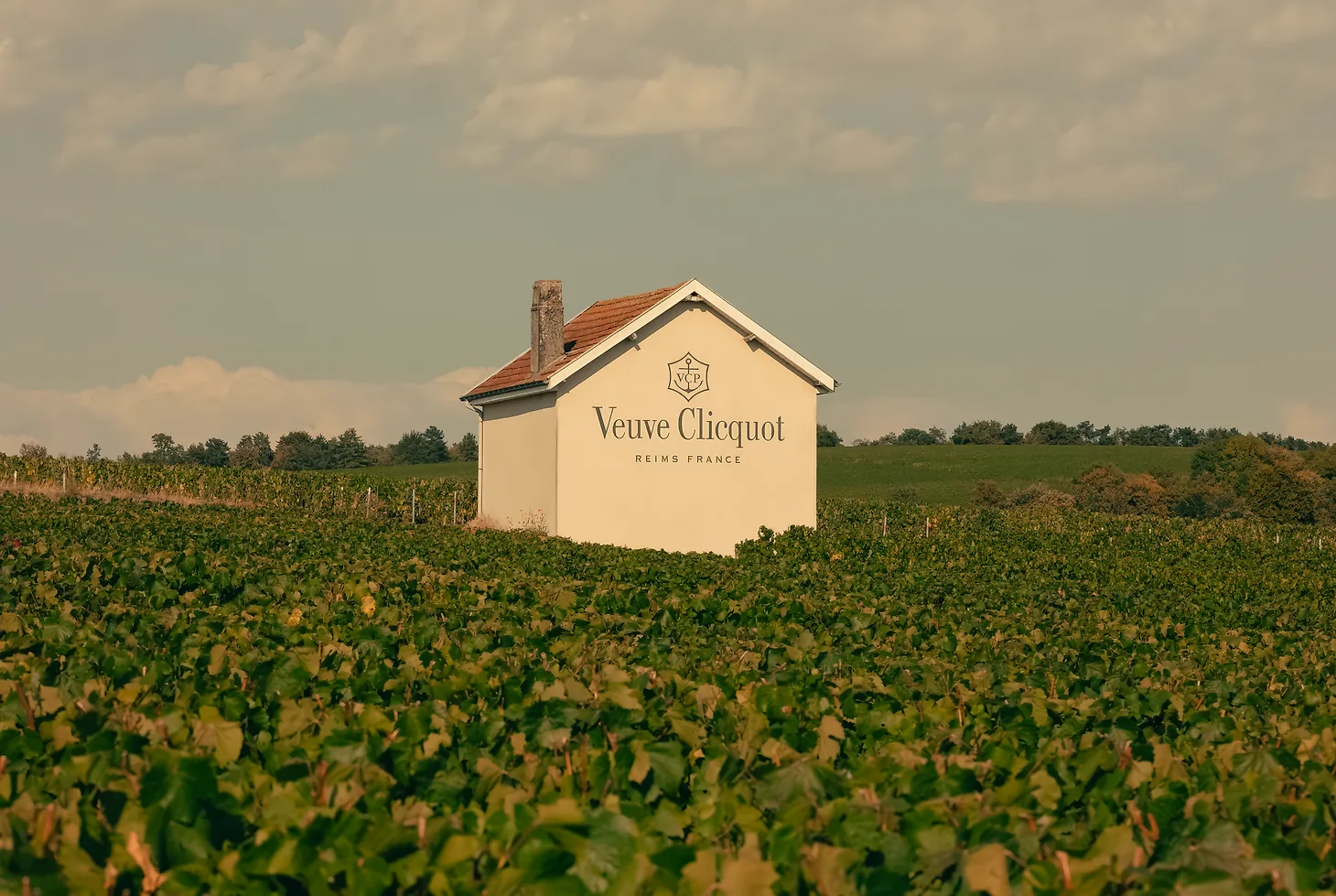 La Grande Dame Celebrates Madame Clicquot Ponsardin, the Matriarch of Champagne